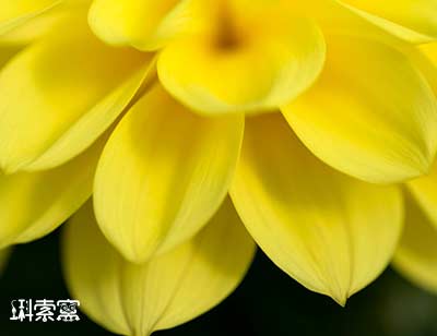 11��20���賿2�r�����|���ۅ^�܎С�^�{������L�U�؅^