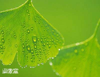 ���˹��Z�ġ��އ�Ȯ�����Ǖr�������˼����