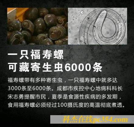 福壽螺可藏6000條蟲