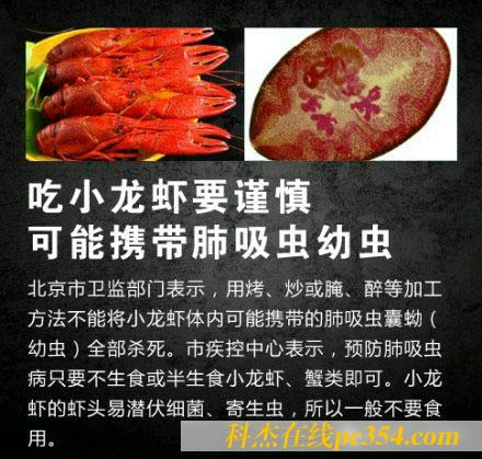 小龍蝦可攜帶肺吸蟲