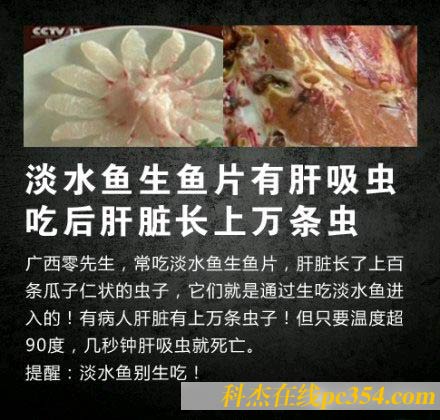 淡水魚生魚片有肝吸蟲