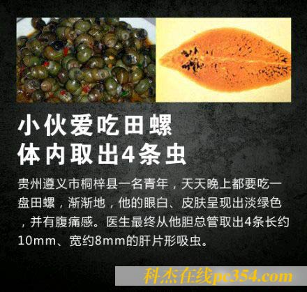 田螺可能有寄生蟲